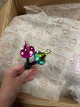 Stargazer review photo
