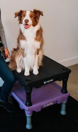 Ashley Badgley review photo