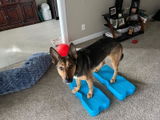 Wendy Prestera review photo