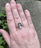 Desiree review photo