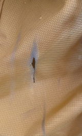 Laurent M review photo