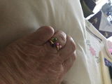 Shirley Lier review photo