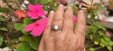 Pam R. review photo