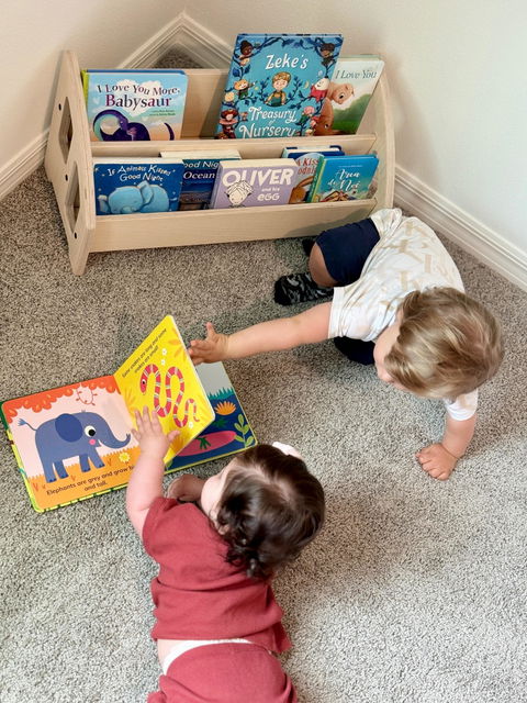 The Montessori Bookshelf