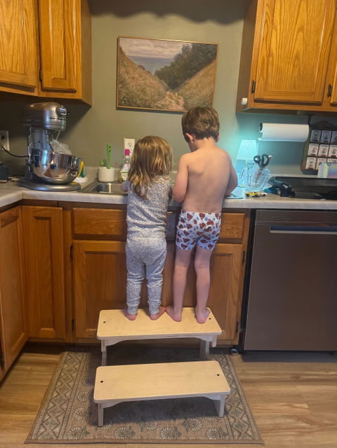 The Original Double Stool