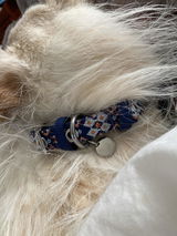 JoBeth B. review photo