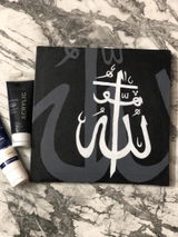Safaar review photo