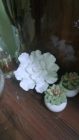 Mariha review photo