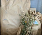Ana Soares review photo