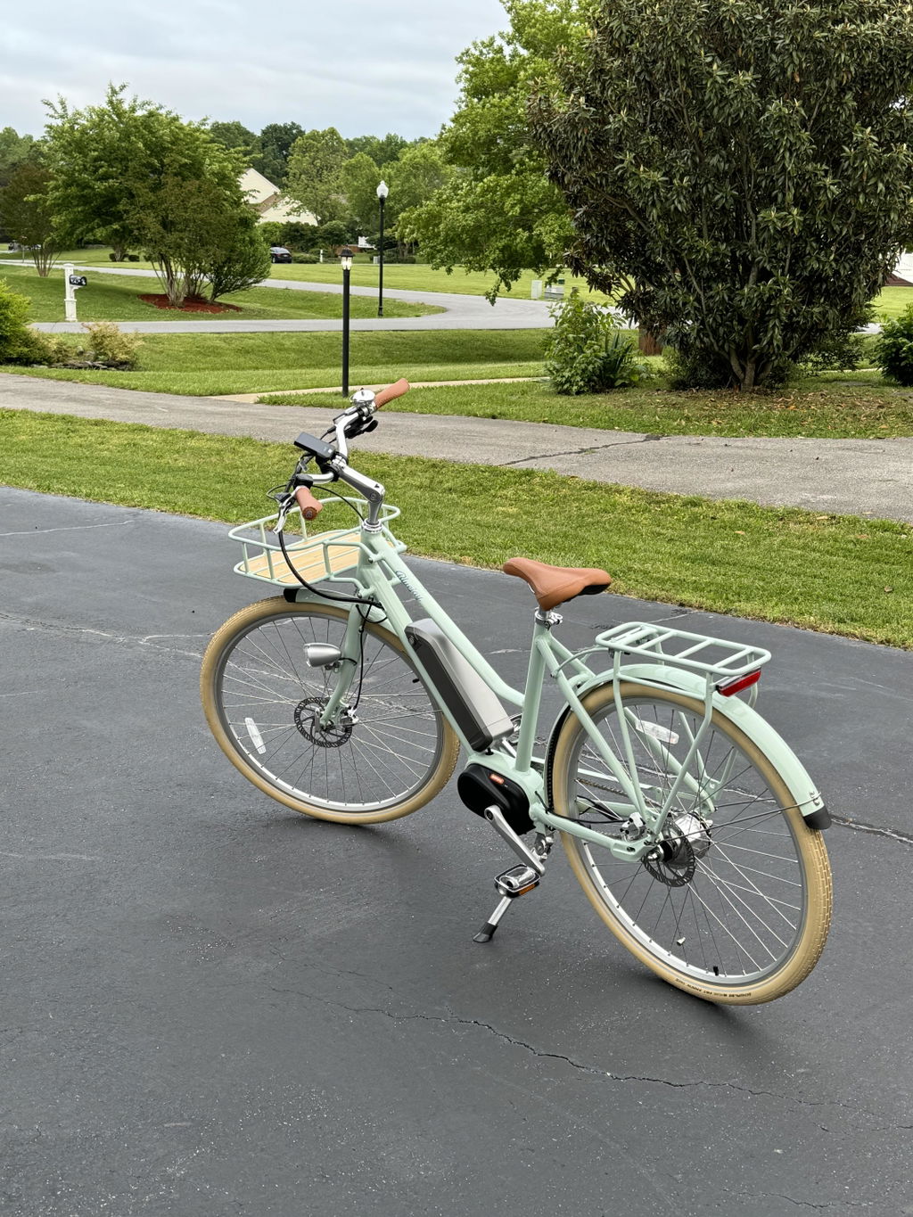 Bluejay Premiere - Mint Green Electric Bike