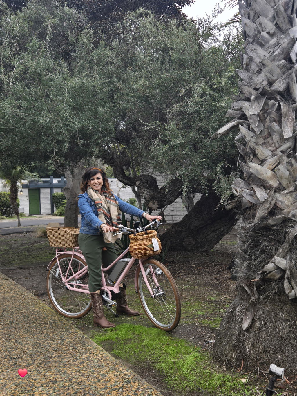 Bluejay Premiere - Blush Pink Electric Bike