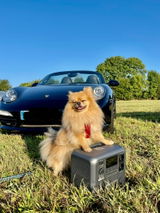 Turbo review photo