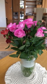 Olga Friede review photo