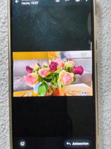 Lilla Lewin review photo