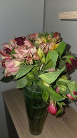 Evelyn Kniss review photo