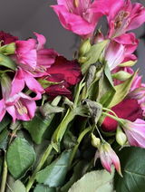 Sophie Golubev review photo