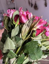 Sophie Golubev review photo
