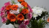 June review photo