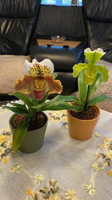 Carsten S. review photo
