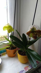 Jutta L. review photo
