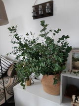 Verena S. review photo