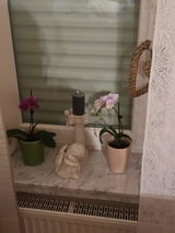 Margitta Helmer review photo