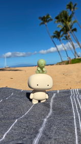 HanaGirlMaui review photo