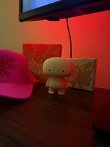 Zoi Jane Moon review photo