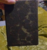 Kayla Elizabeth review photo