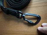Rolf review photo