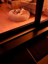 Julia Preisecker review photo