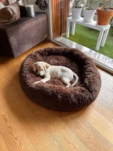 Cliente Amazon review photo