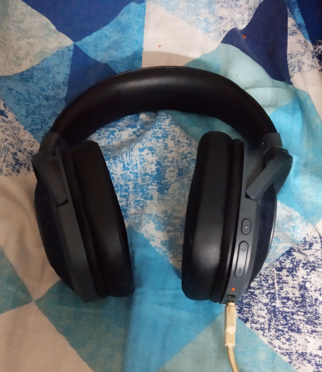 Product photo 1 from Kaushik Bhattacharyya’s review