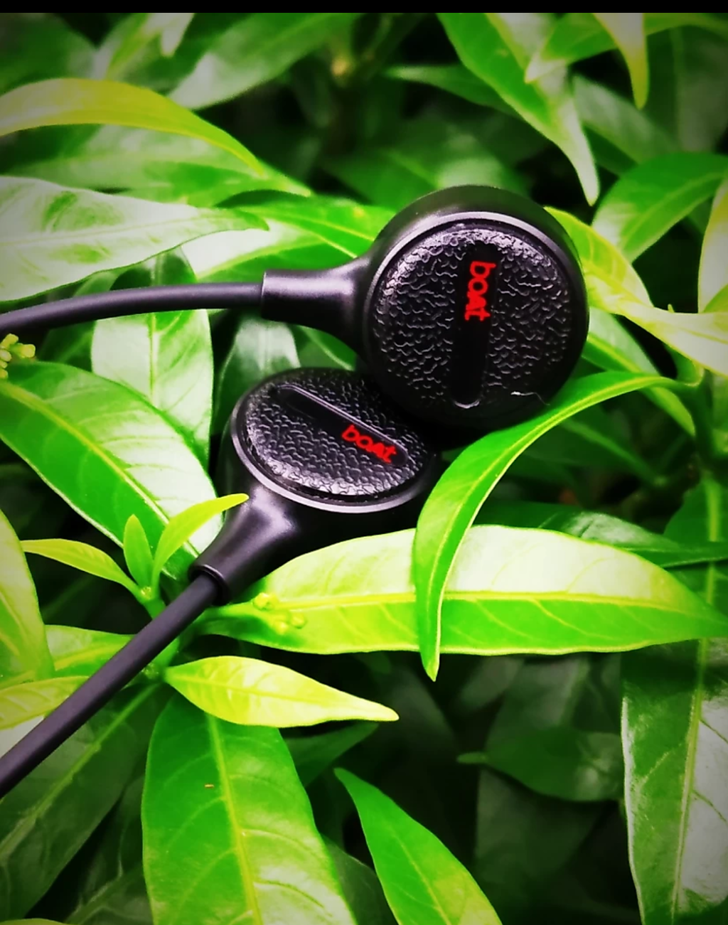 Product photo 1 from Anonymous’s review