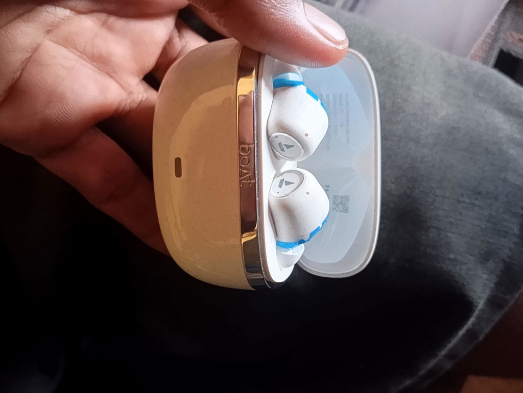 Product photo 1 from Rajveer mehra’s review