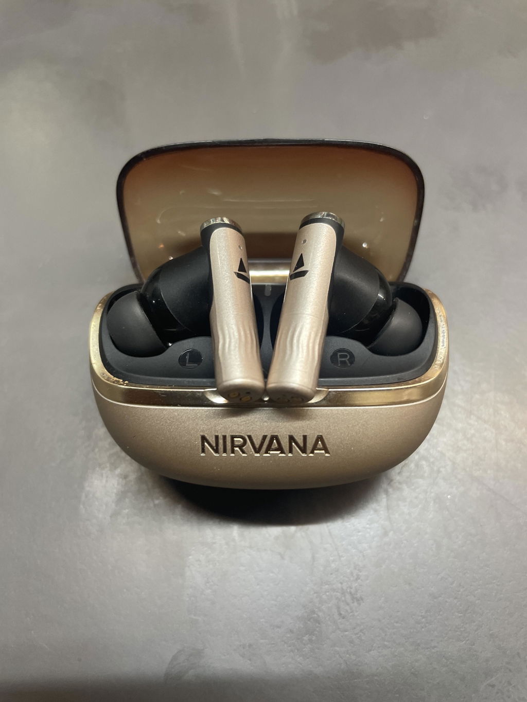 Product photo 1 from Rohan’s review