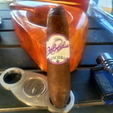 Randall Gerber review photo