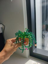 Lindapi review photo
