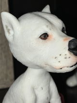 Design Your Own Dog's Bobble Head