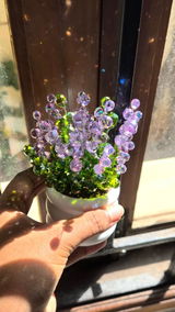 Varsha review photo