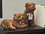 Austin Garcia review photo