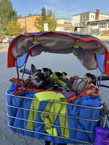Aybike Ö.D. review photo