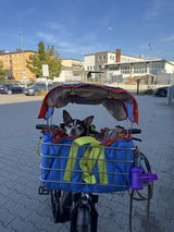 Aybike Ö.D. review photo