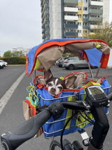 Aybike Ö.D. review photo