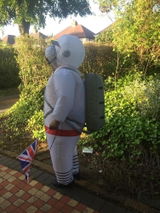 Mr Amazon Customer review photo