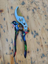 Lucian v review photo