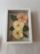 Andrea Gladwin review photo