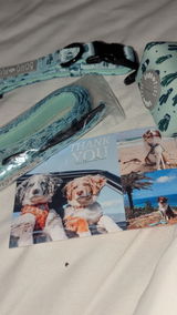 Lilly L Wigham review photo
