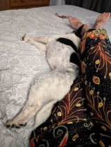 Etsy customer review photo