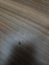 Arianne Briere review photo
